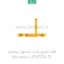 قطعات - فلت کنترلر راست کنسول نينتندو- Nintendo SL