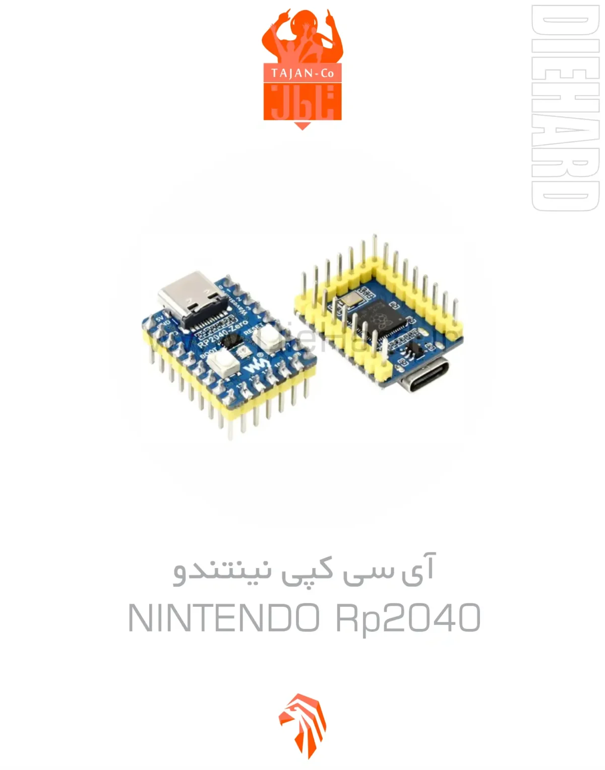 خرید و قیمت آي سي کپي - NINTENDO RP2040